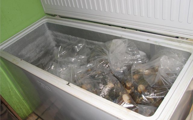 Gansbaai 2 suspects arrested for possession of abalone Hawston